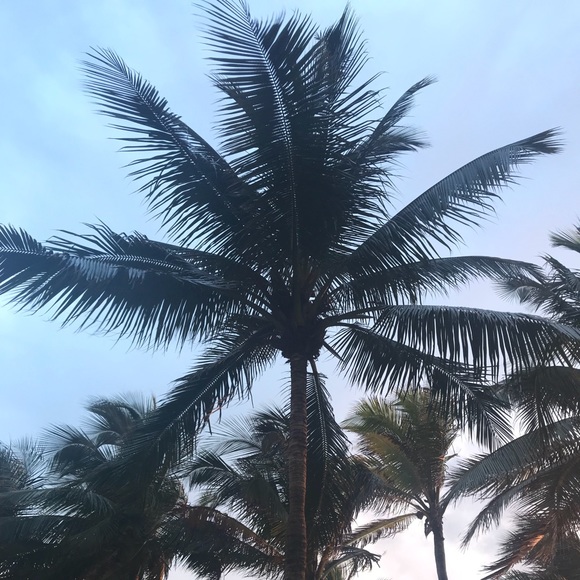 Meet your Posher, Steven - Picture 1 of 1